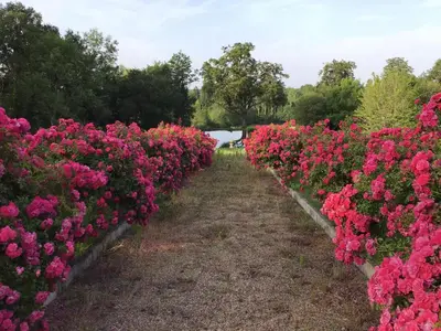 Jardin de l'établissement Maison du Garde Forestier au cœur des Châteaux de la Loire