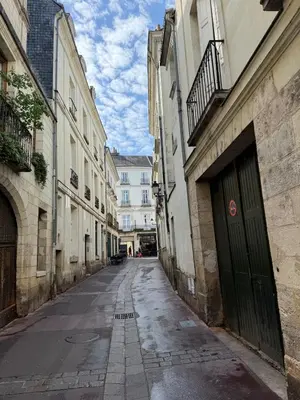 Plan de l'établissement Quartier Vieux Tours, Grand studio avec coin chambre
