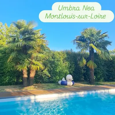 Piscine de l'établissement Cottage Umbra Néa ou située à proximité