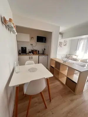 Cuisine ou kitchenette dans l'établissement Studios Balcony de Loire