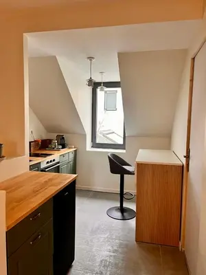 Cuisine ou kitchenette dans l'établissement Charming Studio In Le Mans Chasse Royale