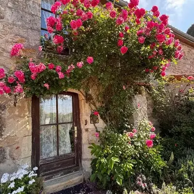Domaine les roses du vieux chai