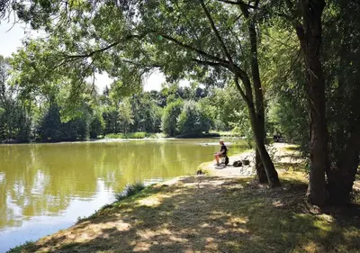 Paysage naturel près de le camping