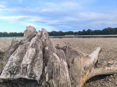 Paysage naturel près de l'appartement