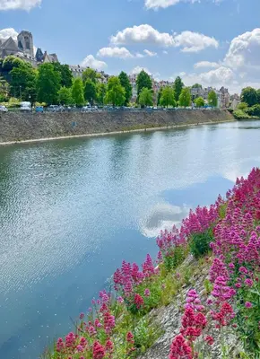 Paysage naturel près de l'appartement