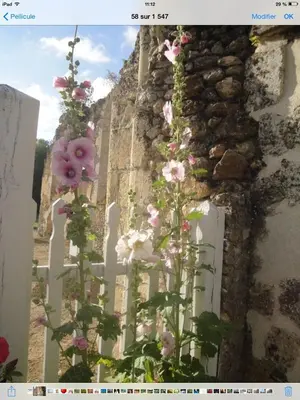 Jardin de l'établissement La Maison d'Ambre