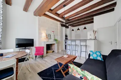 Télévision ou salle de divertissement dans l'établissement Trois pièces de charme hyper centre Tours