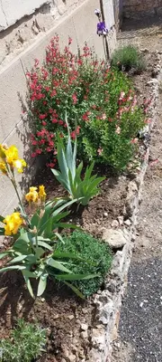 Jardin de l'établissement Les Paddocks du Damier Manceau