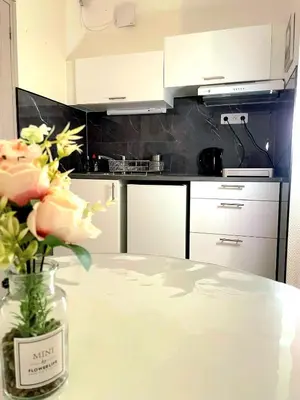 Cuisine ou kitchenette dans l'établissement Le nid des Landes