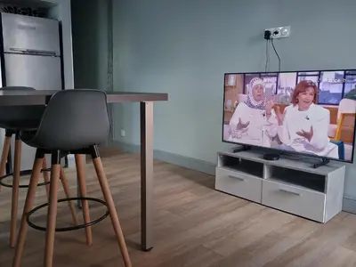 Télévision ou salle de divertissement dans l'établissement Appartement de charme à Amboise face à la Loire