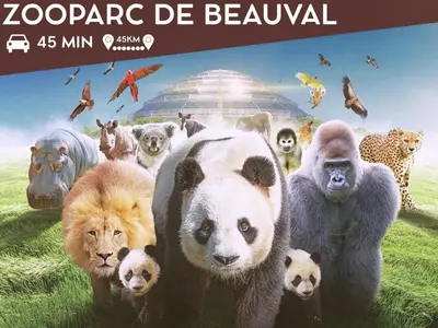 Animaux dans l'appartement ou à proximité