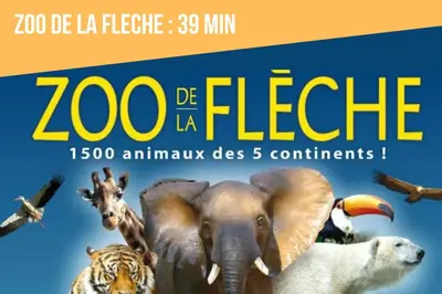 Animaux dans la maison de vacances ou à proximité