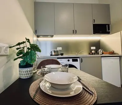 Cuisine ou kitchenette dans l'établissement Le Trinity tout confort avec parking privé au centre ville