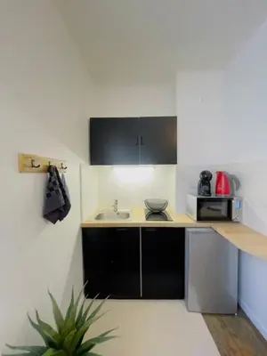Cuisine ou kitchenette dans l'établissement La Halte Urbaine - 2 guests - Wifi