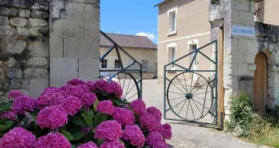 Plan de l'établissement Domaine Les Chauveaux, 3 gites, 26 personnes, 1 salle