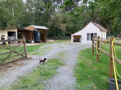 Animal ou animaux domestique(s) séjournant avec des clients dans l'établissement Sweet