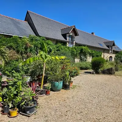 Eco-friendly house