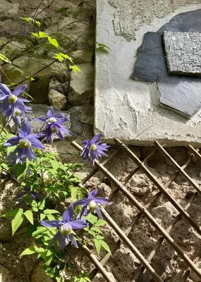 Jardin de l'établissement La Petite Maison d'à Côté