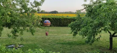 Jardin de l'établissement Les Gaudouines