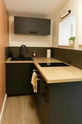 Cuisine ou kitchenette dans l'établissement Lumineux T2, 2 pers, jardin & terrasse au calme