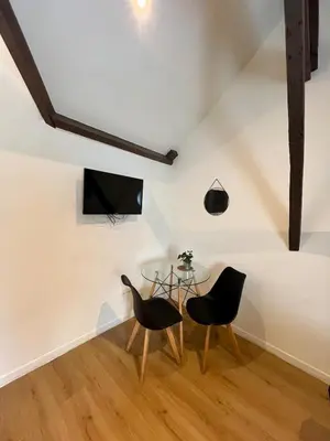 Télévision ou salle de divertissement dans l'établissement Studio Oslo-Charme & calme en Centre ville à pied avec parking gratuit