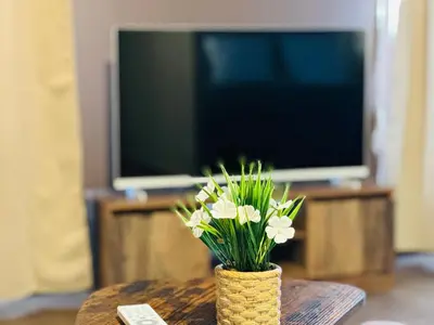 Télévision ou salle de divertissement dans l'établissement Appartement de la Gare