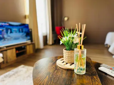 Télévision ou salle de divertissement dans l'établissement Appartement de la Gare
