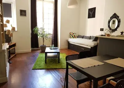 Un ou plusieurs lits dans un hébergement de l'établissement Vaste studio quartier historique