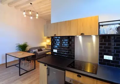 Cuisine ou kitchenette dans l'établissement Appartement coeur de ville
