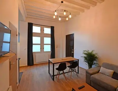 Télévision ou salle de divertissement dans l'établissement Appartement coeur de ville