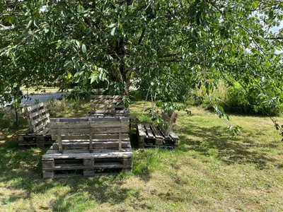 Jardin de l'établissement Gîte de charme près du Mans pour 4 avec piscine naturelle - FR-1-410-473
