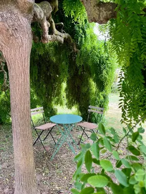 Jardin de l'établissement Le Logis du pic vert