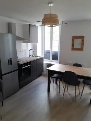 Cuisine ou kitchenette dans l'établissement Appart centre FNAC