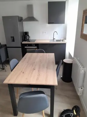 Cuisine ou kitchenette dans l'établissement Appart centre FNAC