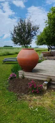 Jardin de l'établissement Le Four à Chanvre
