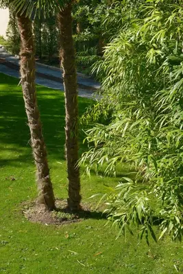 Jardin de l'établissement Maison du Verger Idéal pour séjours pros
