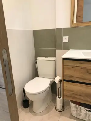 Salle de bains dans l'établissement Charmante petite maison