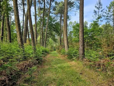 Jardin de l'établissement Gîtes du Château de Malcombe