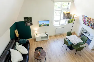 Télévision ou salle de divertissement dans l'établissement Mirabeau Sous Les Toits 2 - Tours