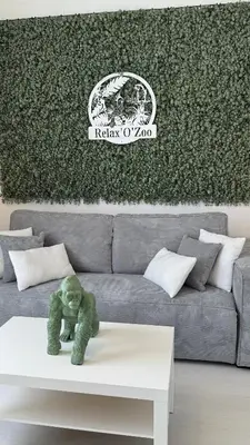 Coin salon dans l'établissement Gîte Relax'O'Zoo à 4min du Zoo