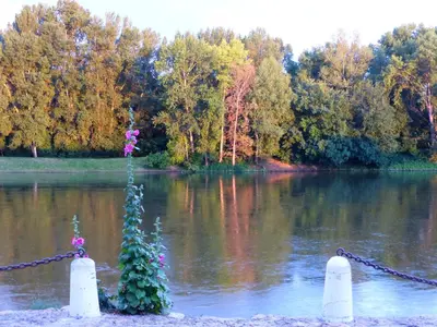 Vue sur la rivière ou le fleuve situé(e) à proximité de la maison de vacances