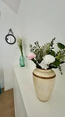 Plan de l'établissement Studio Sydney Charme et jardin I séjour pro ou romantique