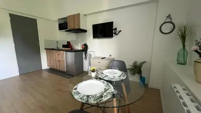 Cuisine ou kitchenette dans l'établissement Studio Sydney Charme et jardin I séjour pro ou romantique