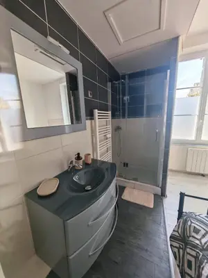Salle de bains dans l'établissement T2 COMPLET BLOIS Centre 38 M2-Parking et linge inclus