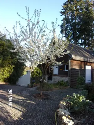 Jardin de l'établissement Maison Bois 
