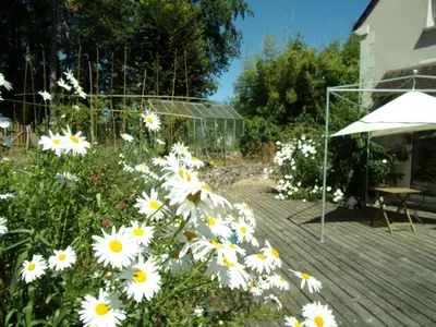 Jardin de l'établissement Maison Bois 