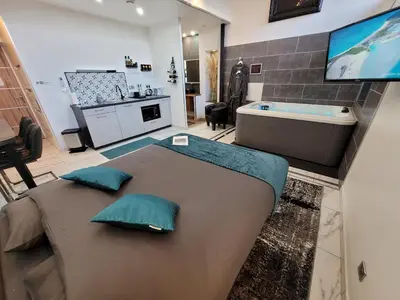 Télévision ou salle de divertissement dans l'établissement Indus'Loft and Spa-Jacuzzi et Parking Privé