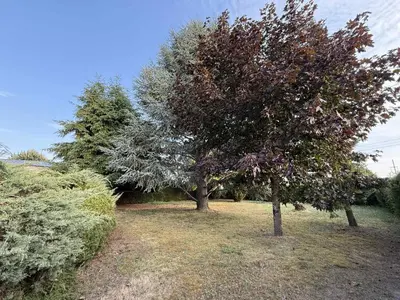 Jardin de l'établissement Le Cocon d'Ellie M