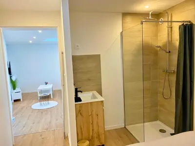 Salle de bains dans l'établissement Beau T2 moderne et calme - gare & centre - idéal pro-couple-famille