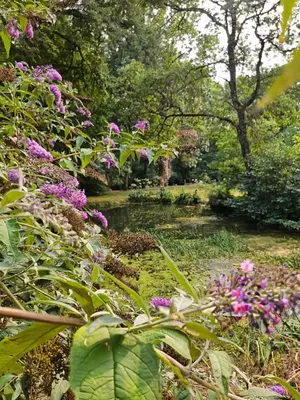Jardin de l'établissement Ancien Moulin au fil de l'Indrois Semi-troglodyte -Zoo de Beauval